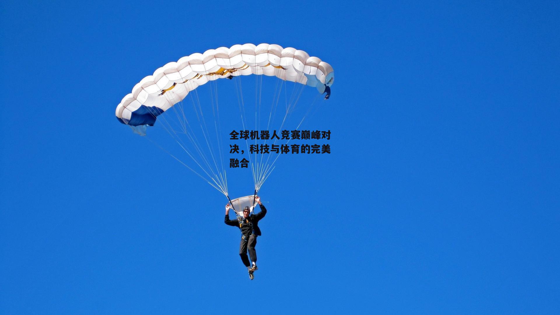 全球机器人竞赛巅峰对决，科技与体育的完美融合